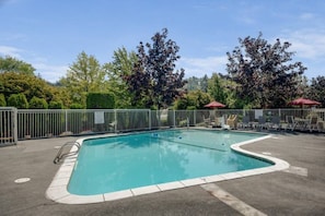 A rectangular swimming pool with a white border, surrounded by a metal fence.