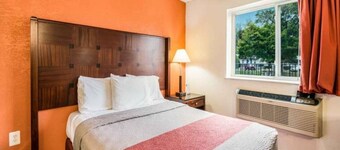 1 kingsize bed | Rookvrij