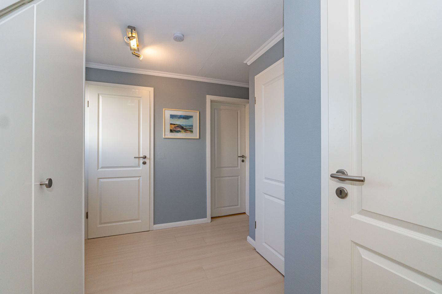 Un couloir avec deux portes blanches, un interrupteur et un tableau encadré accroché au mur.