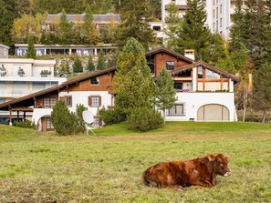 Ein zweigeschossiges Haus mit einem geneigten Dach, einer Satellitenschüssel und einer Kuh im Vordergrund.