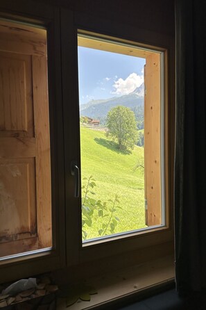 Ein Fenster mit Holzrahmen, das Blick auf eine grüne Landschaft und einen Baum bietet.