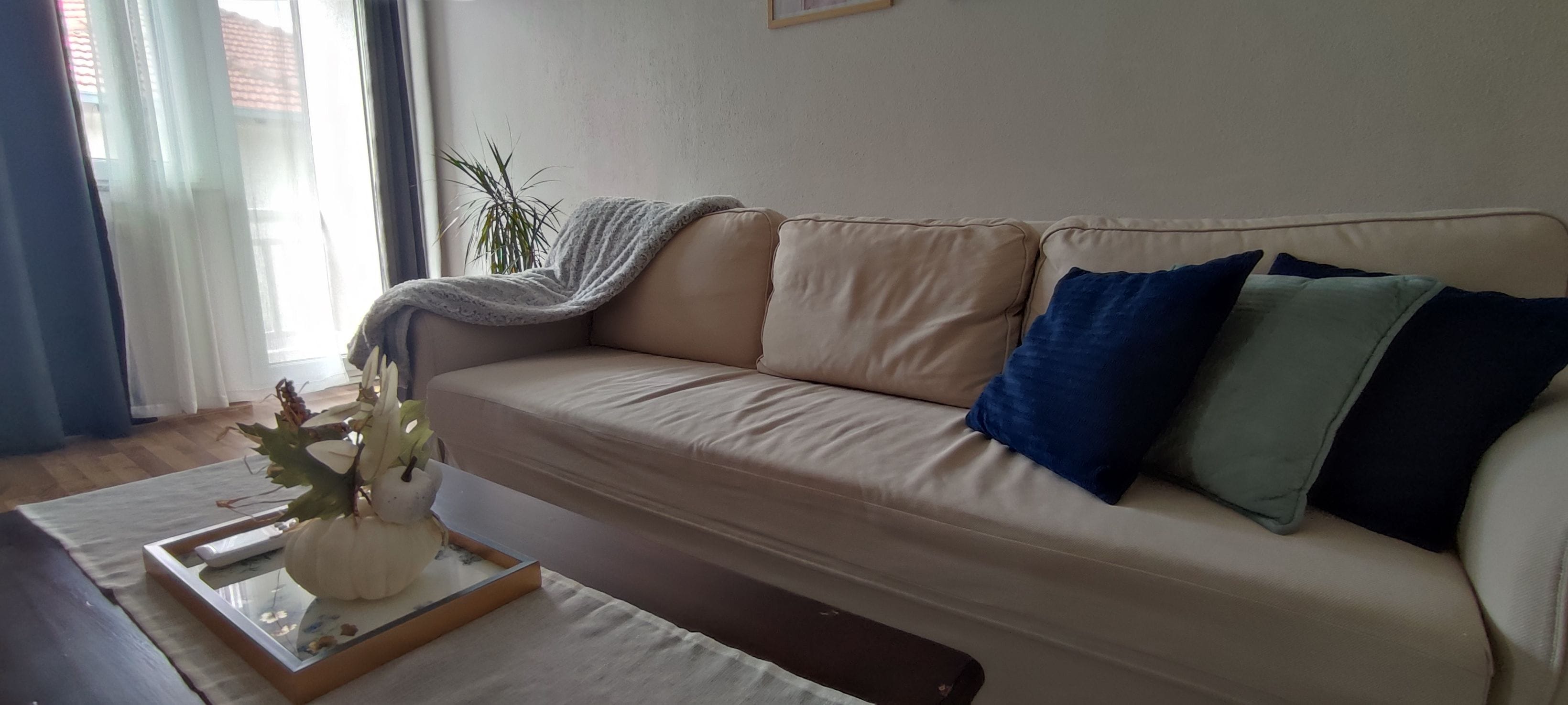 Ett vardagsrum med en soffa, ett soffbord och en prydnadsväxt.