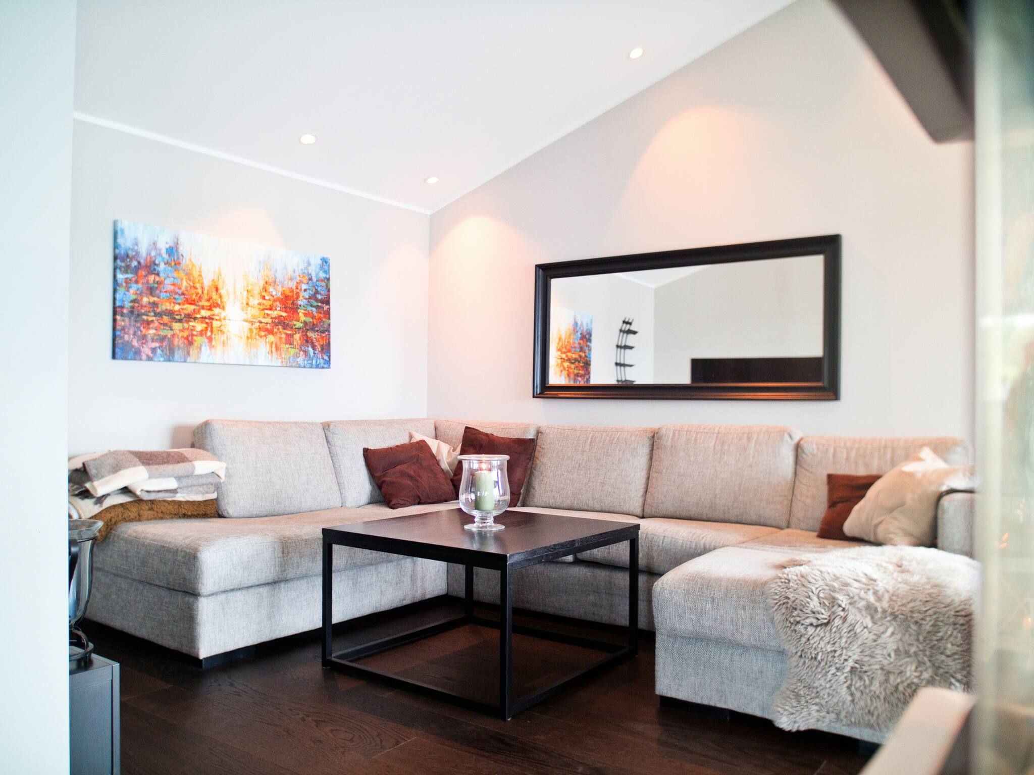 TV, fireplace, books, stereo