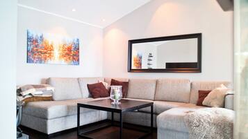 TV, fireplace, books, stereo