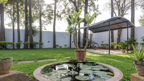 Un giardino con uno stagno, piante in vaso e una bicicletta.