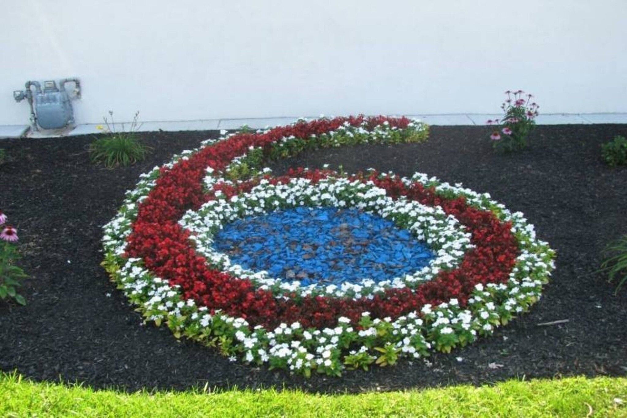 Ein kreisrunder Blumenbeet mit einem blauen Mittelbereich, umgeben von abwechselnd roten und weißen Blüten vor einer weißen Wand.