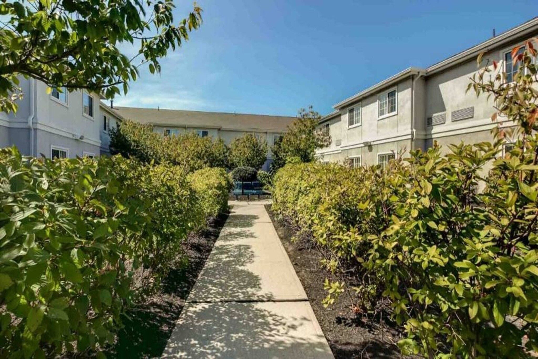 Un sendero bordeado de vegetación que lleva a un edificio con múltiples ventanas.