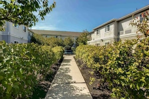 A pathway flanked by greenery leading to a building with multiple windows. - 1 queen bed|Mobility|Non-smoking (East Brunswick)