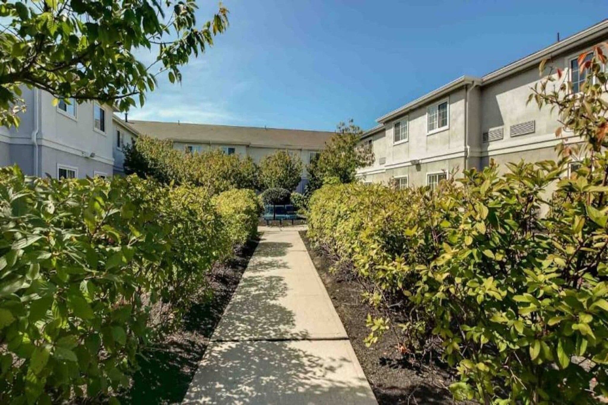 A pathway leading to a building with a flat roof and multiple windows, surrounded by greenery.