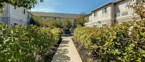A pathway leading to a building with a flat roof and multiple windows, surrounded by greenery.