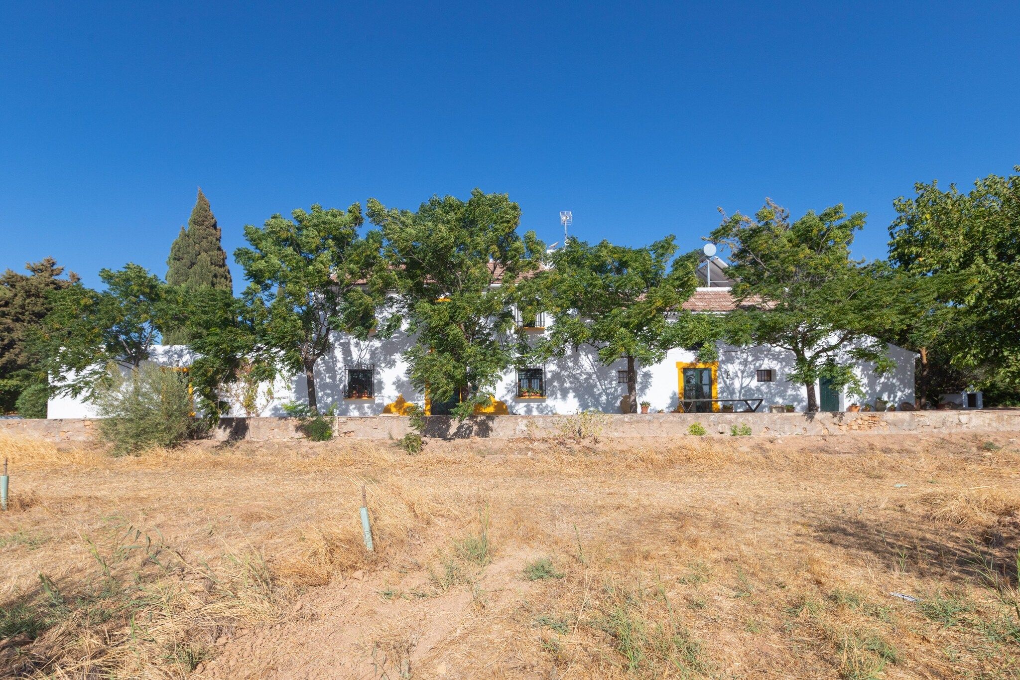 A white building with multiple windows and a yellow door, surrounded by trees and dry grass.