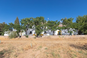 Ein weißes Gebäude mit mehreren Fenstern und einer gelben Tür, umgeben von Bäumen und trockenem Gras.