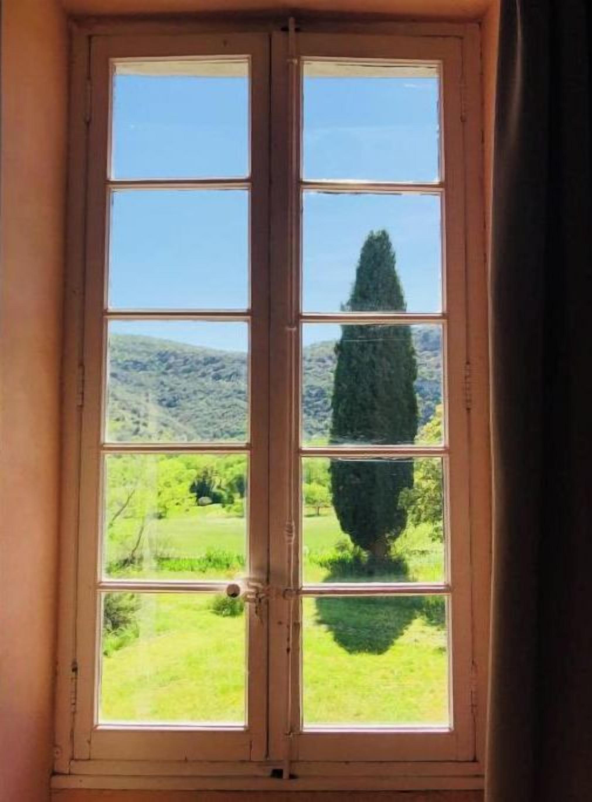 Una ventana con vista a un paisaje verde y un árbol alto.