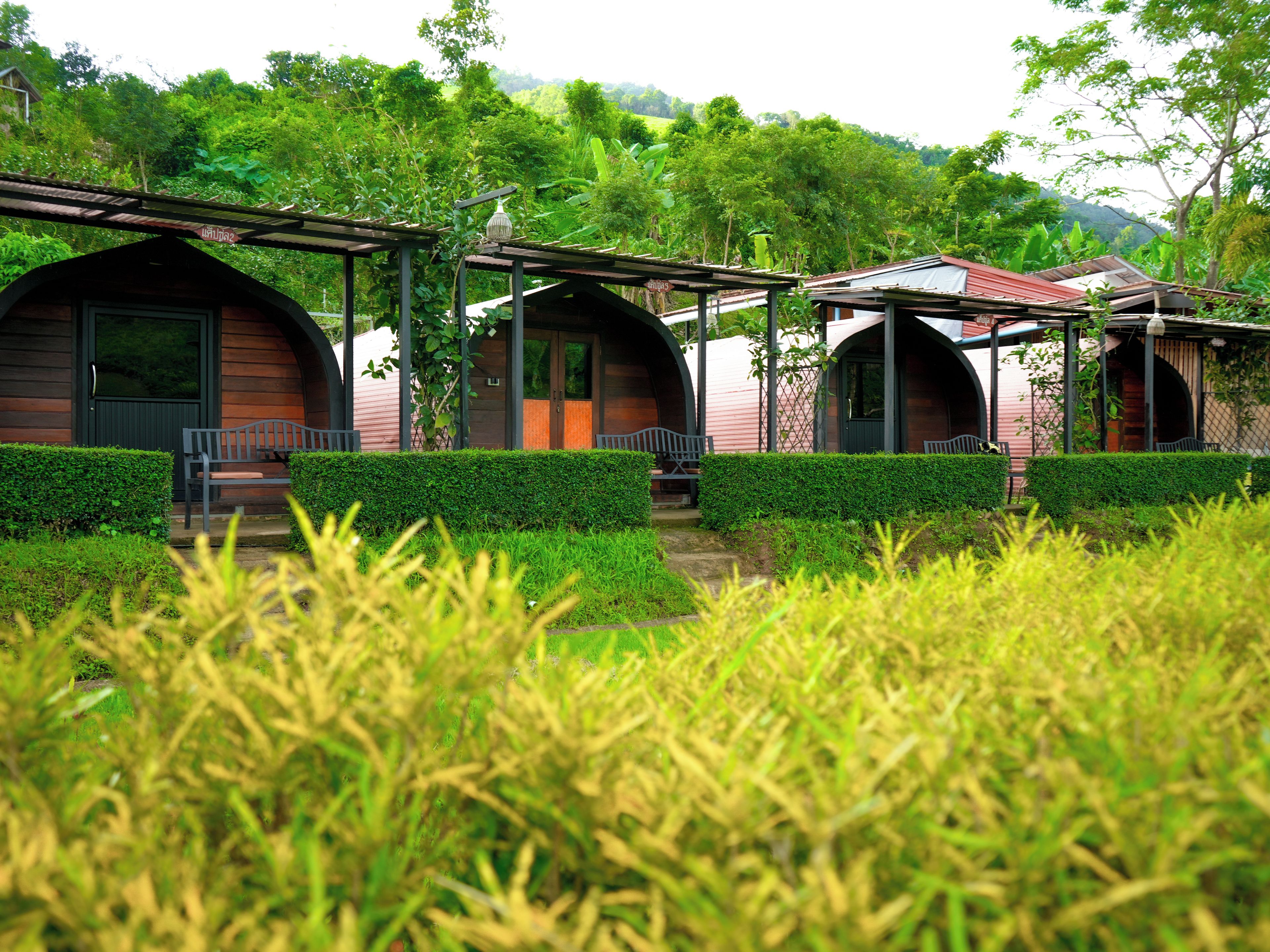 A row of wooden cabins with covered porches, surrounded by lush greenery and a hilly landscape.