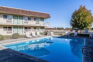 Una piscina con sdraio, un edificio con facciata in mattoni e un albero.