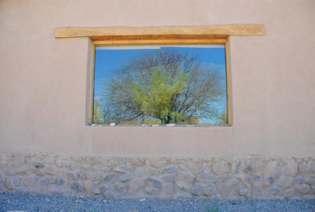Une fenêtre donnant sur un arbre se détachant sur un ciel dégagé.