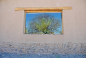 A window with a view of a tree against a clear sky.
