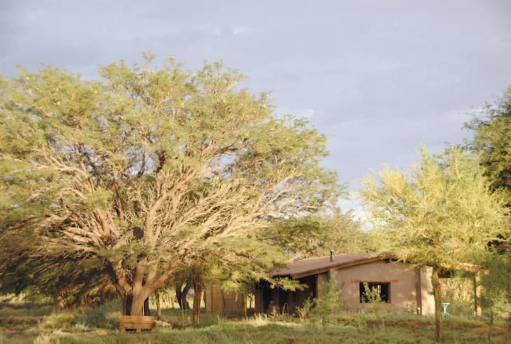 Un chalet rustique avec un grand arbre devant, entouré d’un paysage naturel.