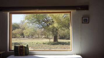 A room with a bed, a window with a view of trees and grass, and a small framed picture on the wall.
