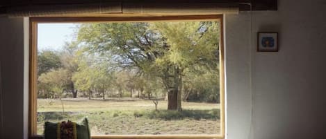 A room with a bed, a window with a view of trees and grass, and a small framed picture on the wall.