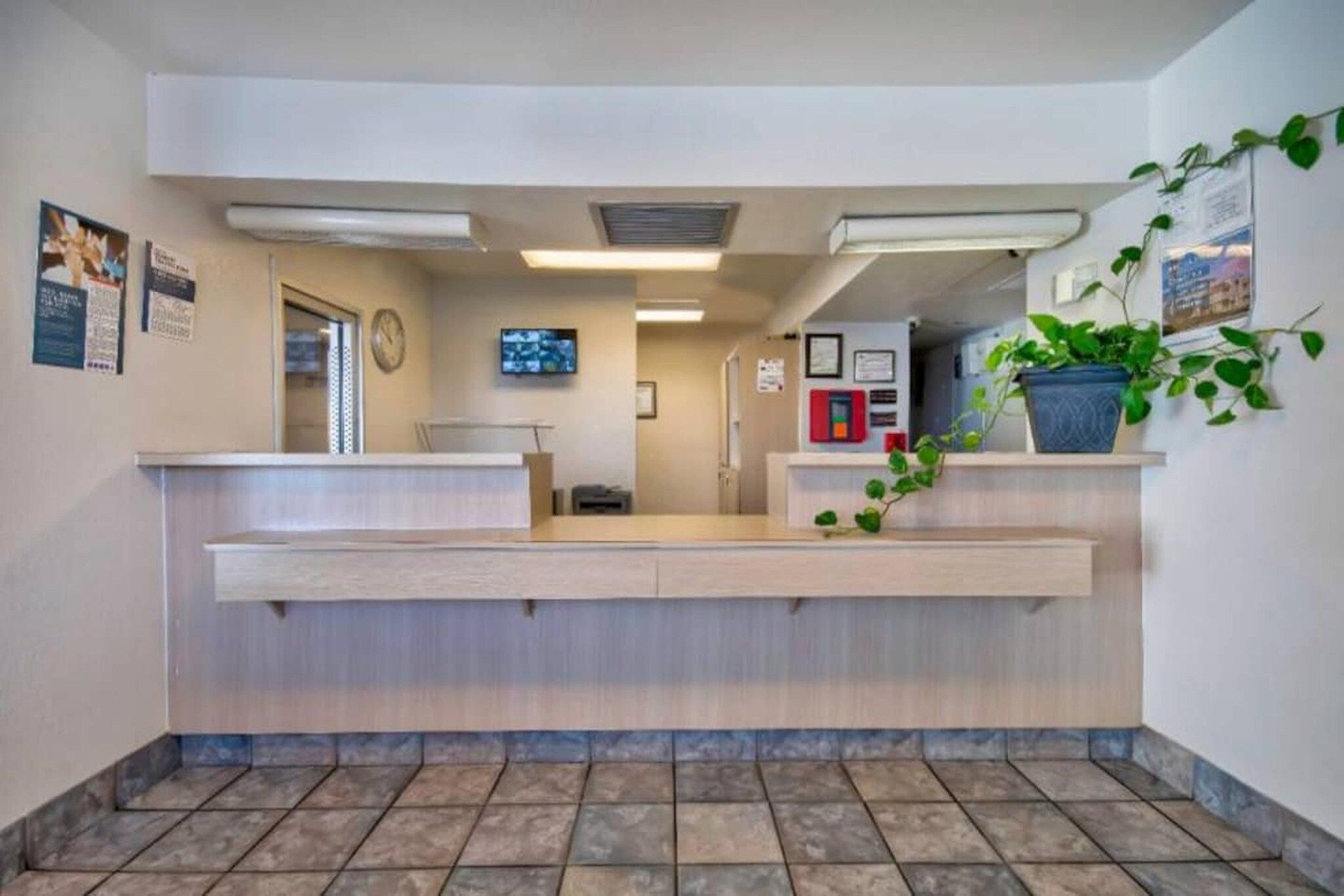 A reception area with a counter, a clock, a television, and a plant.