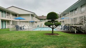 A courtyard with a swimming pool, a small tree, and a building with balconies. - 1 Queen Bed | Micfridge, Non-Smoking (Seattle)