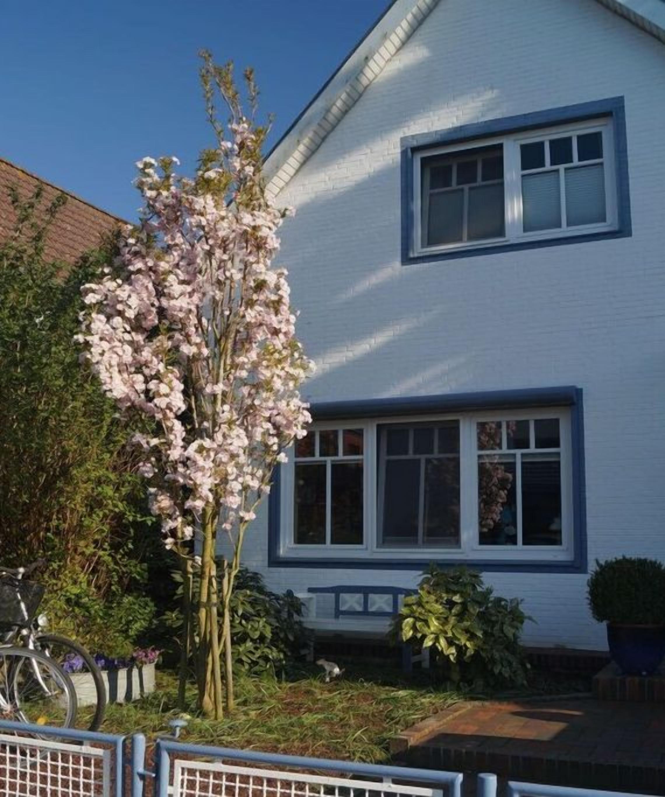 Une maison blanche avec un cadre de fenêtre bleu, un arbre aux fleurs roses et un vélo au premier plan.