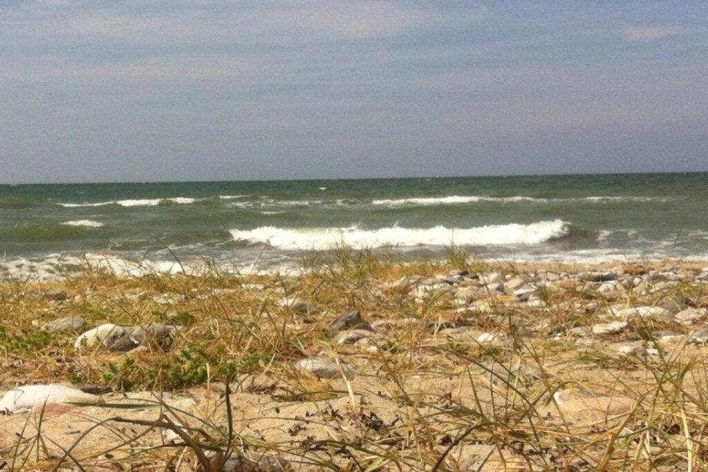 Een strand met golven, kiezels en schaarse begroeiing.