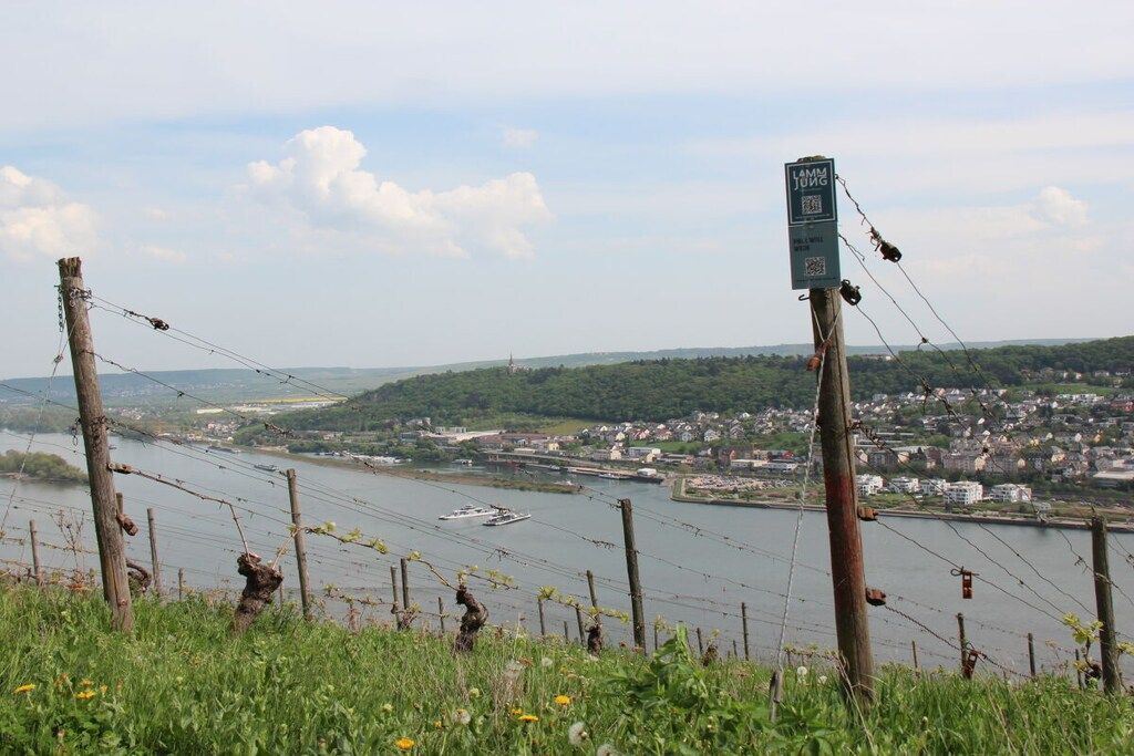 A river with a boat, a town in the background, and a sign on a pole.