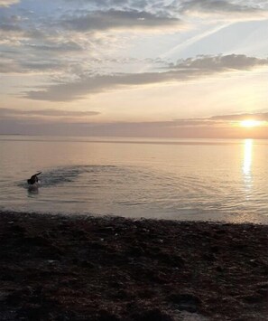 A beach scene with a sunset over the water. - Marquardt Country House (Fehmarn)