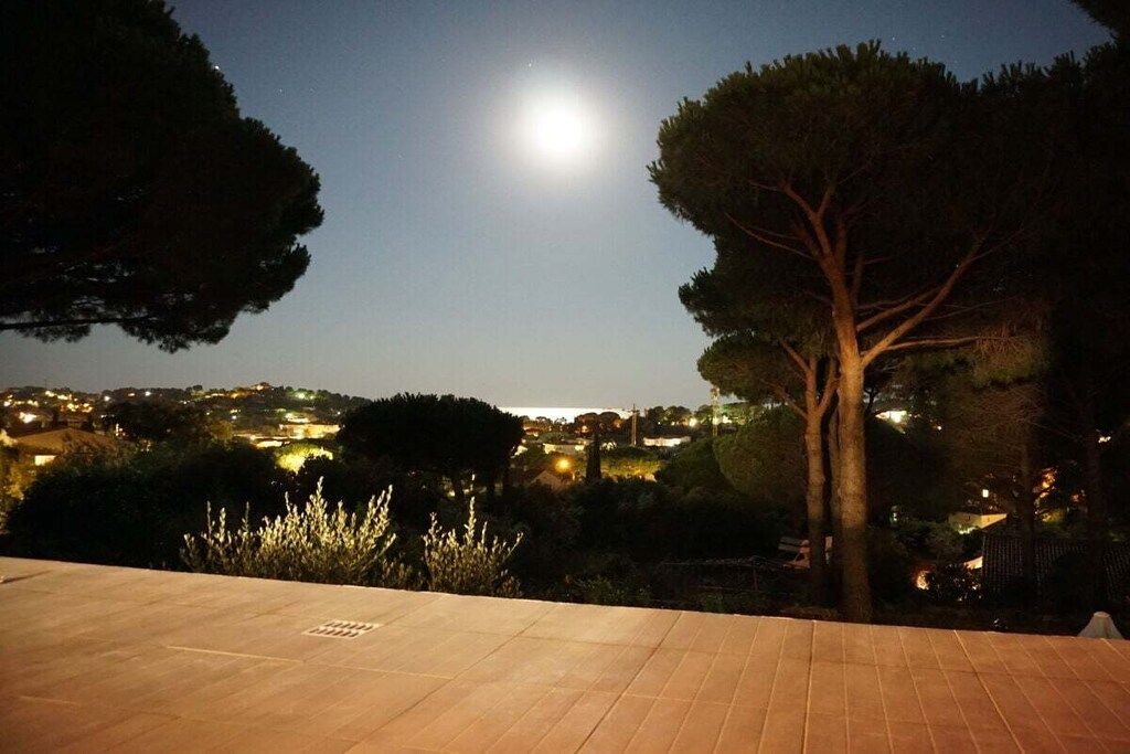 A nighttime view of a residential area with a clear sky and a bright moon.