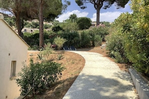 Ein gepflasterter Weg führt durch einen angelegten Garten mit verschiedenen Sträuchern und Bäumen.