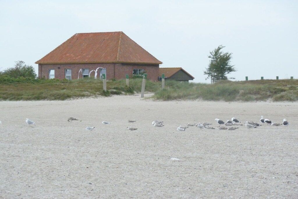 A building with a red roof and a sandy foreground with birds.