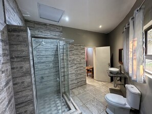 Ein modernes Badezimmer mit einer begehbaren Glasdusche, einer Toilette und einem Waschbecken.