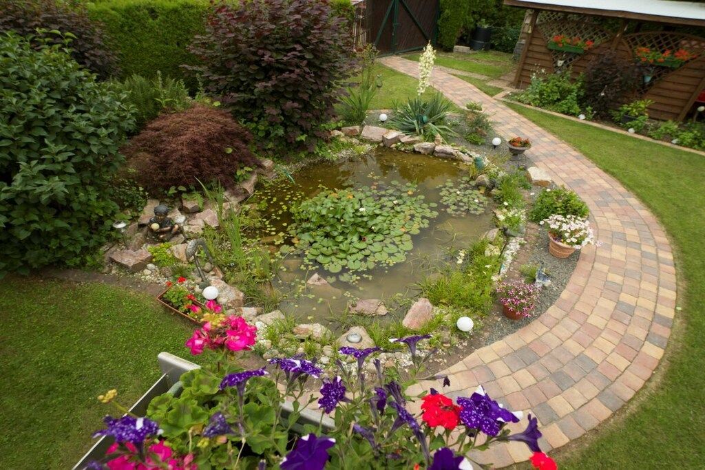 Un jardin avec un bassin, un chemin sinueux en briques et diverses plantes et fleurs.