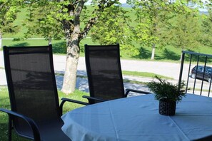 An outdoor seating area with a table and chairs, a potted plant, and a view of a road and trees. - Holiday home in Allgäu with 1 bedroom (Lechbruck)