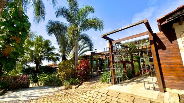 Un jardin agrémenté d’un chemin pavé, d’une pergola en bois et de diverses plantes.