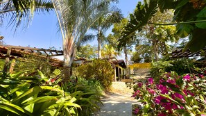 Un sentier de jardin menant à un bâtiment agrémenté d’une pergola en bois et de plantes tropicales.