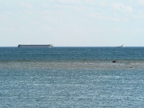 A calm sea with a large ship and a smaller vessel in the distance. - Soothing 3 Arce private campground on Lake Huron in lovely De Tour Village (De Tour Village)