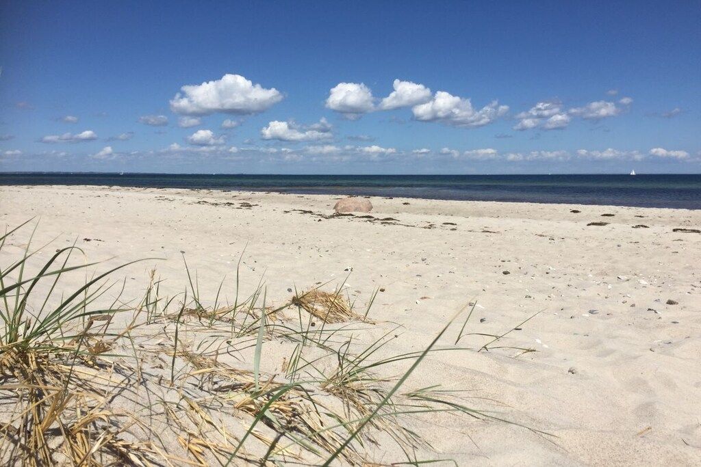 A beach with sand, sparse grass, and a clear sky.
