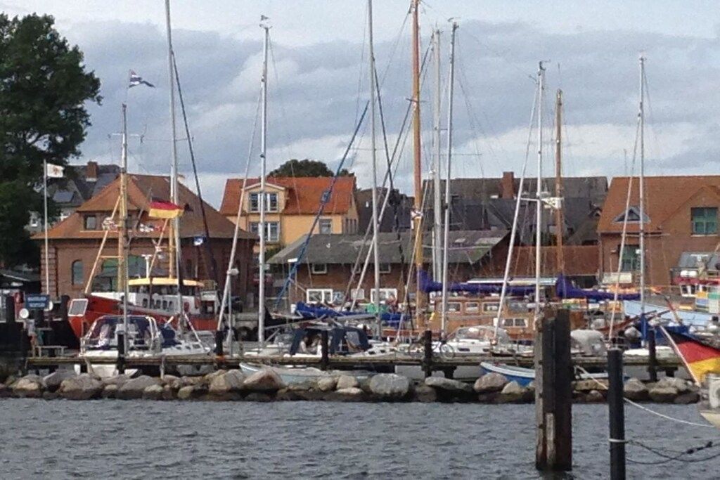 Un port de plaisance où sont amarrés de nombreux bateaux, entouré de bâtiments aux toits rouges.