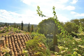 A garden with a stone roof structure, surrounded by lush greenery and flowering plants. - Finca in Llubi with swimming pool (Llubi)
