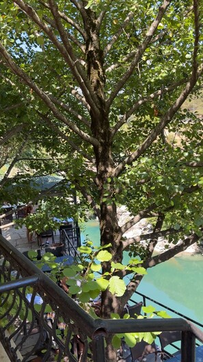 Un árbol con barandilla metálica en primer plano, un cuerpo de agua al fondo y un cielo despejado.
