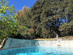 Une piscine bordée de béton, entourée d’arbres denses et surplombée par un ciel bleu clair.