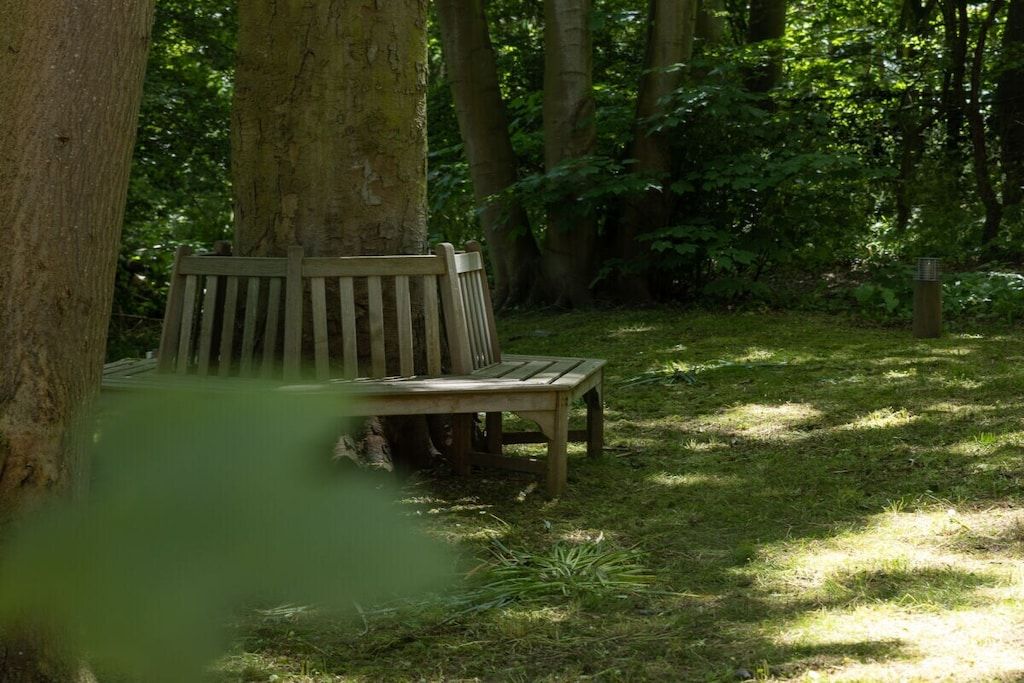Un banc en bois situé dans une zone boisée, entouré d’arbres et d’herbe.