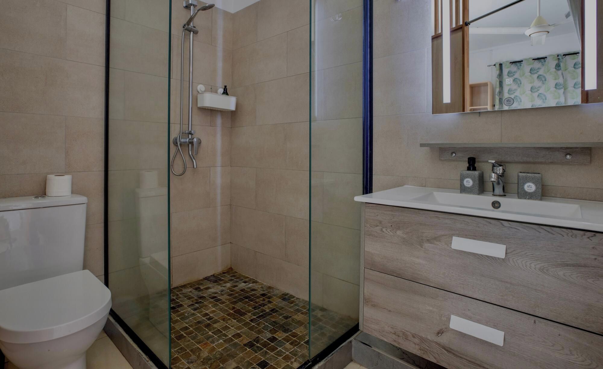 Une salle de bain moderne avec une douche à parois de verre, des toilettes blanches et un meuble-lavabo en bois avec un miroir.