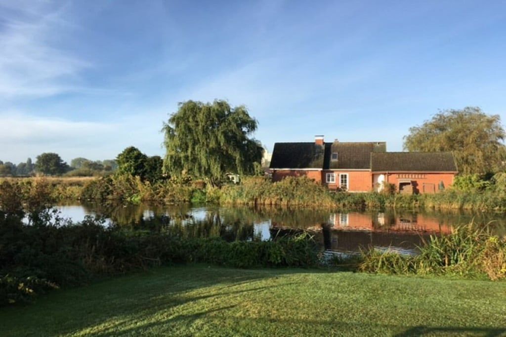 A house with a pond in front, surrounded by greenery.