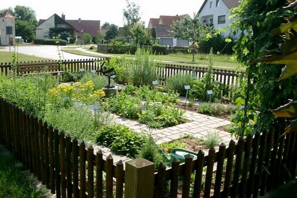 A garden with a wooden fence, a pathway, and various plants.