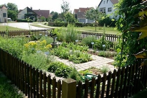 Ein Garten mit Holzzaun, einem Weg und verschiedenen Pflanzen.