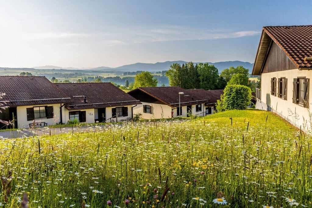 A row of traditional houses with a grassy field in the foreground and a mountain range in the background.